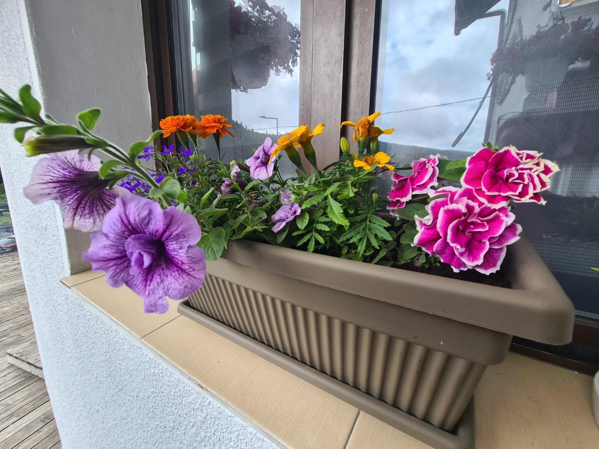 Vila Vitalis 프레데알 외부 사진